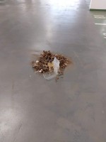 /album/fotogalerie/babicka-01b-jpg/