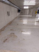 /album/fotogalerie/cukrova-01a-jpg/